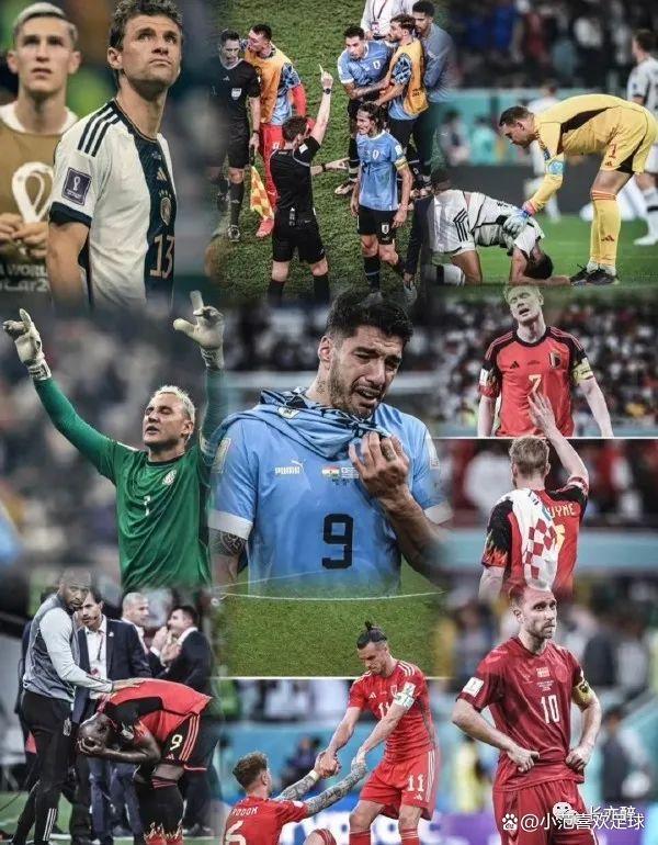 瑞士巨人受咒，逆袭夺冠