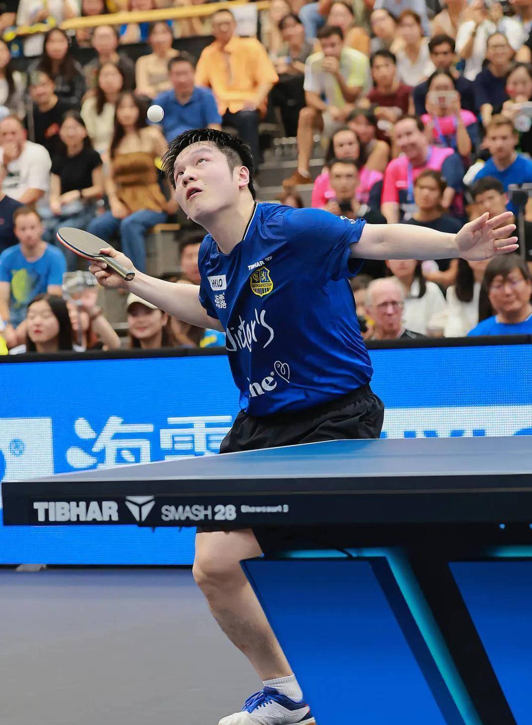 英国乒乓球队完胜瑞典乒乓球队,樊振东高光表现 英国乒乓球队完胜瑞典乒乓球队,樊振东高光表现