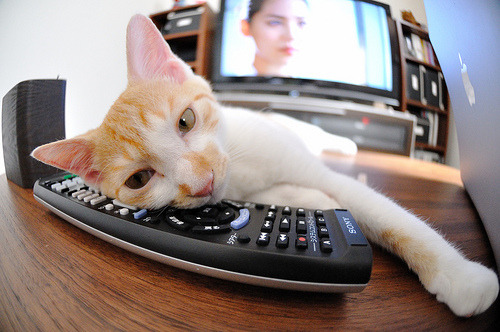 中国熊猫体育-从活塞到世界之巅,文班亚马的2026,一场跨越篮球次元的接管