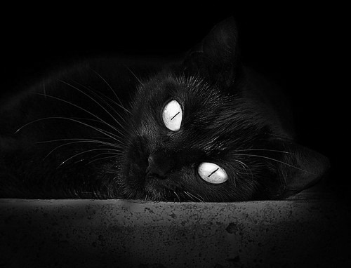 法比尼奥惊艳四座,日本力克那不勒斯,亚洲足球崛起的里程碑之战